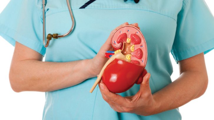 RENAL-KIDNEY STONE- HOMOEOPATHIC TREATMENT